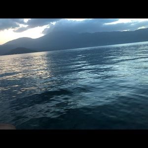 Meet your Posher, Adeline